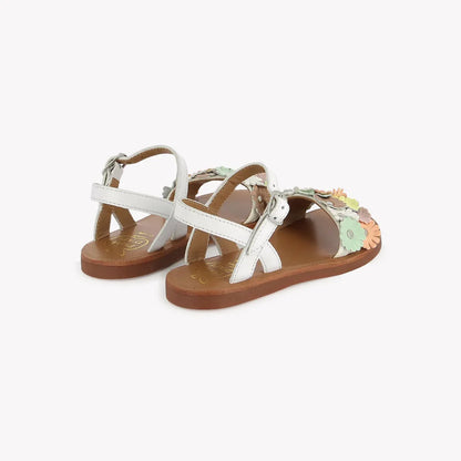 MULTI FLO POM D'API blanc