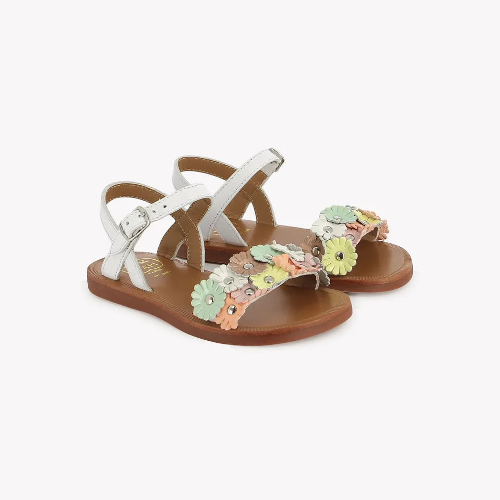MULTI FLO POM D'API blanc