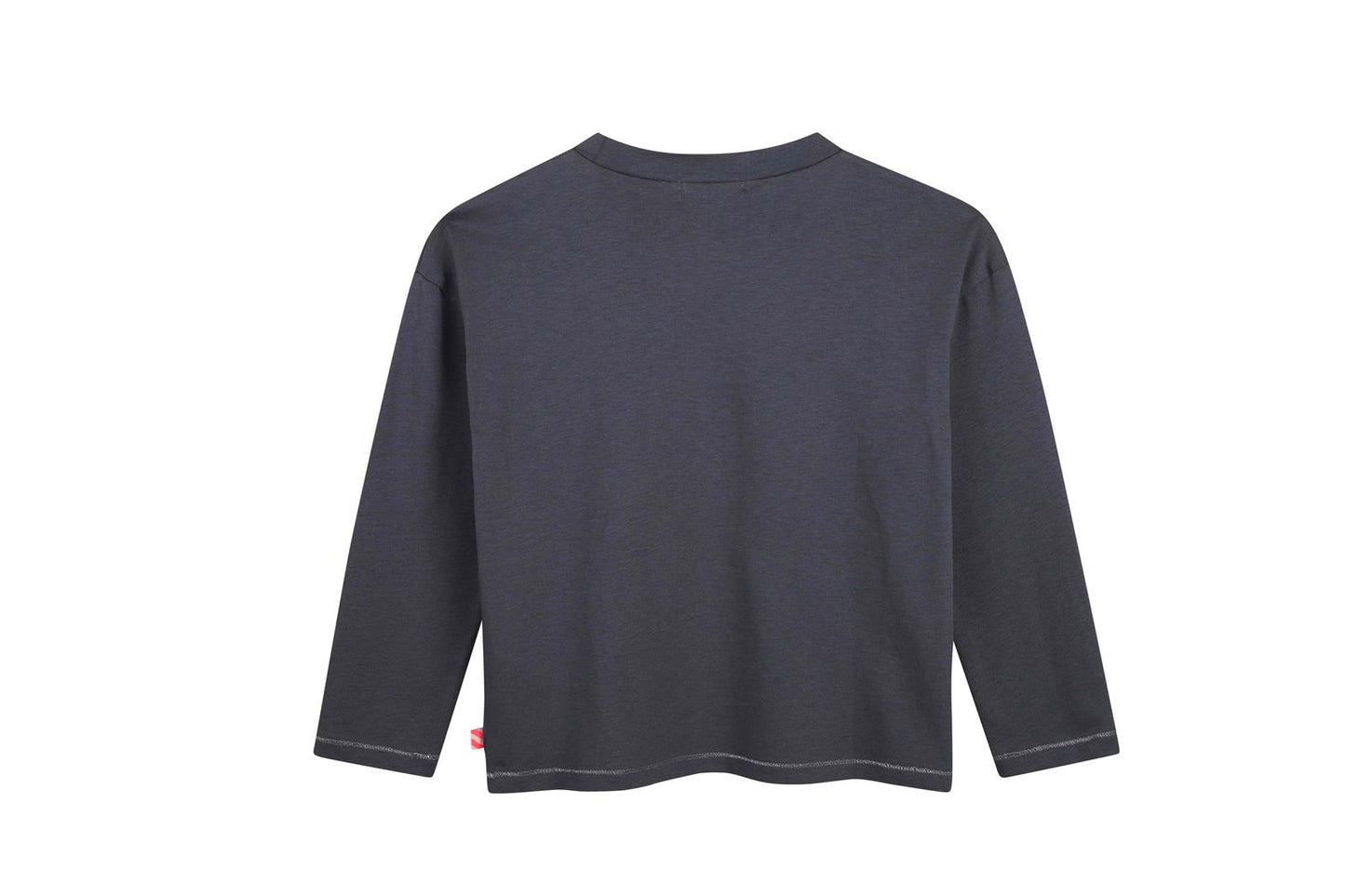 TEE-SHIRT MANCHE LONGUE 378 BILLIEBLUSH gris