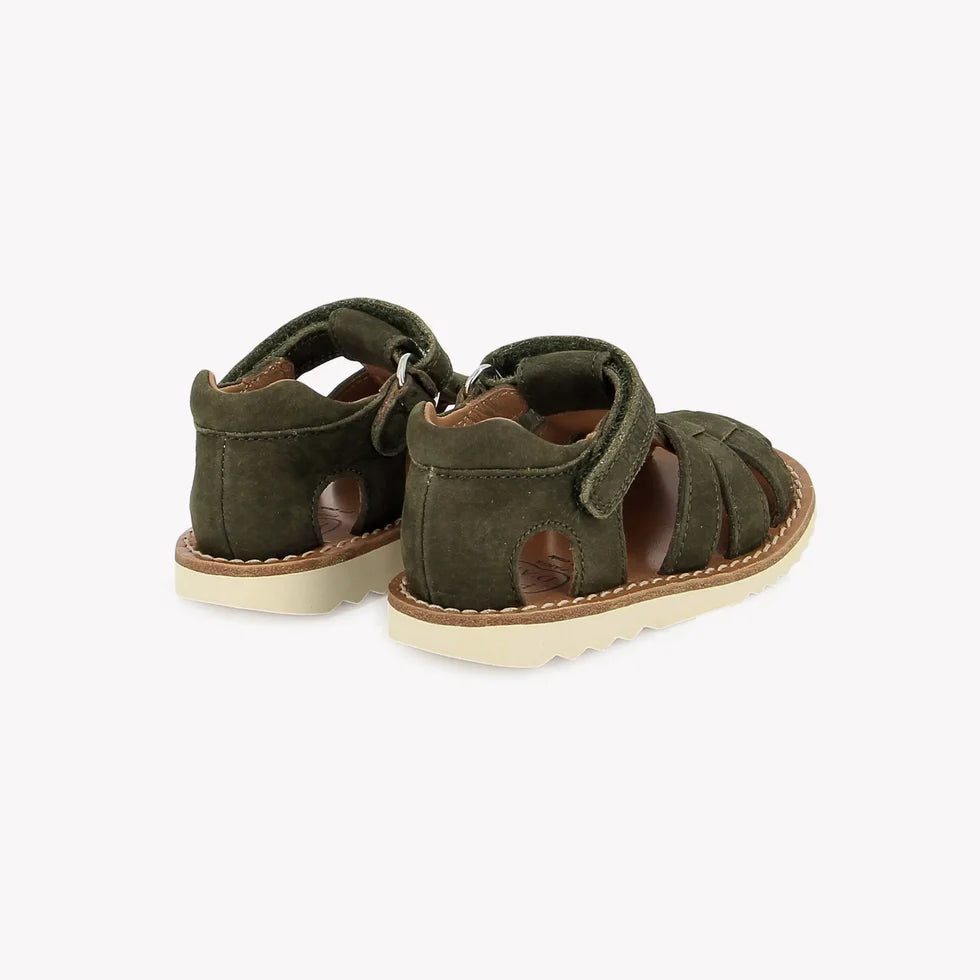 WAFF POM D'API kaki