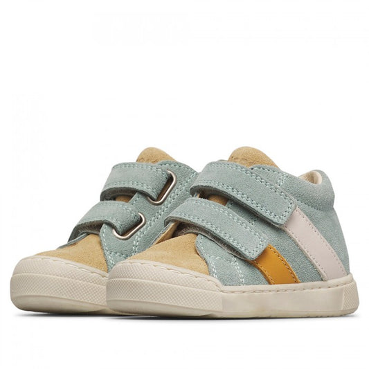 GAZER 26 FALCOTTO sage
