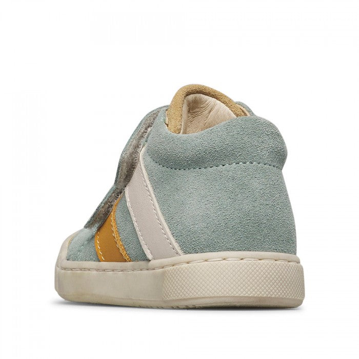 GAZER 26 FALCOTTO sage