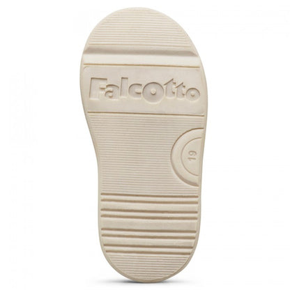 GAZER 26 FALCOTTO sage