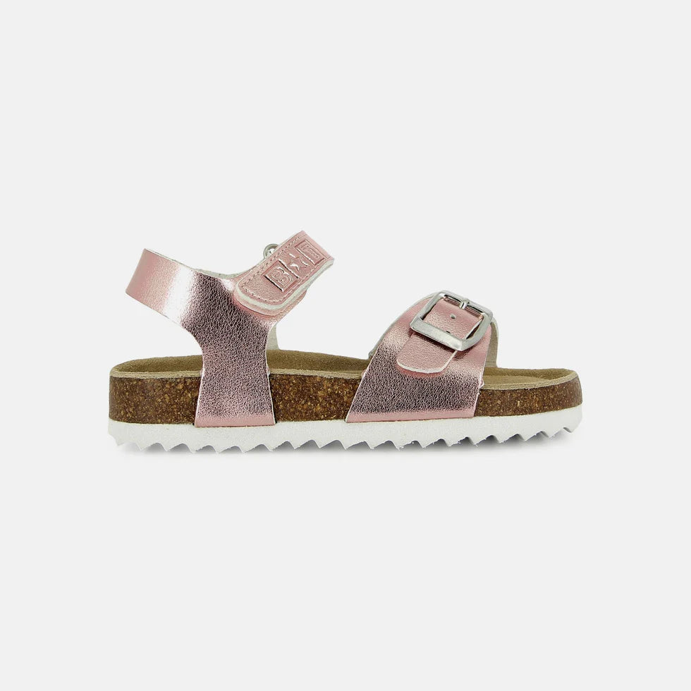 MEMO BONTON rose