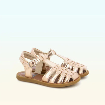 SOLAR BOHEM SHOOPOM rose