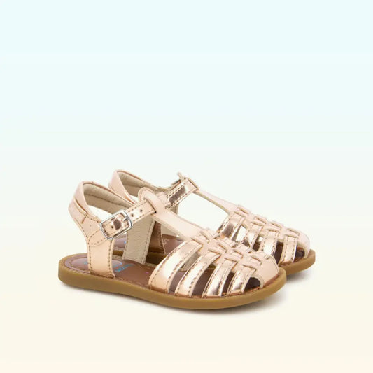 SOLAR BOHEM SHOOPOM rose
